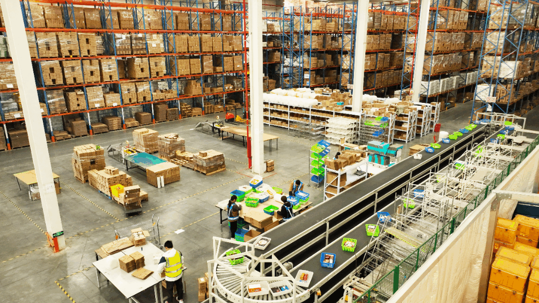 从成本到效率，电商云仓如何成为初创的破局关键